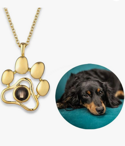Collar Personalizado con Foto de Mascota