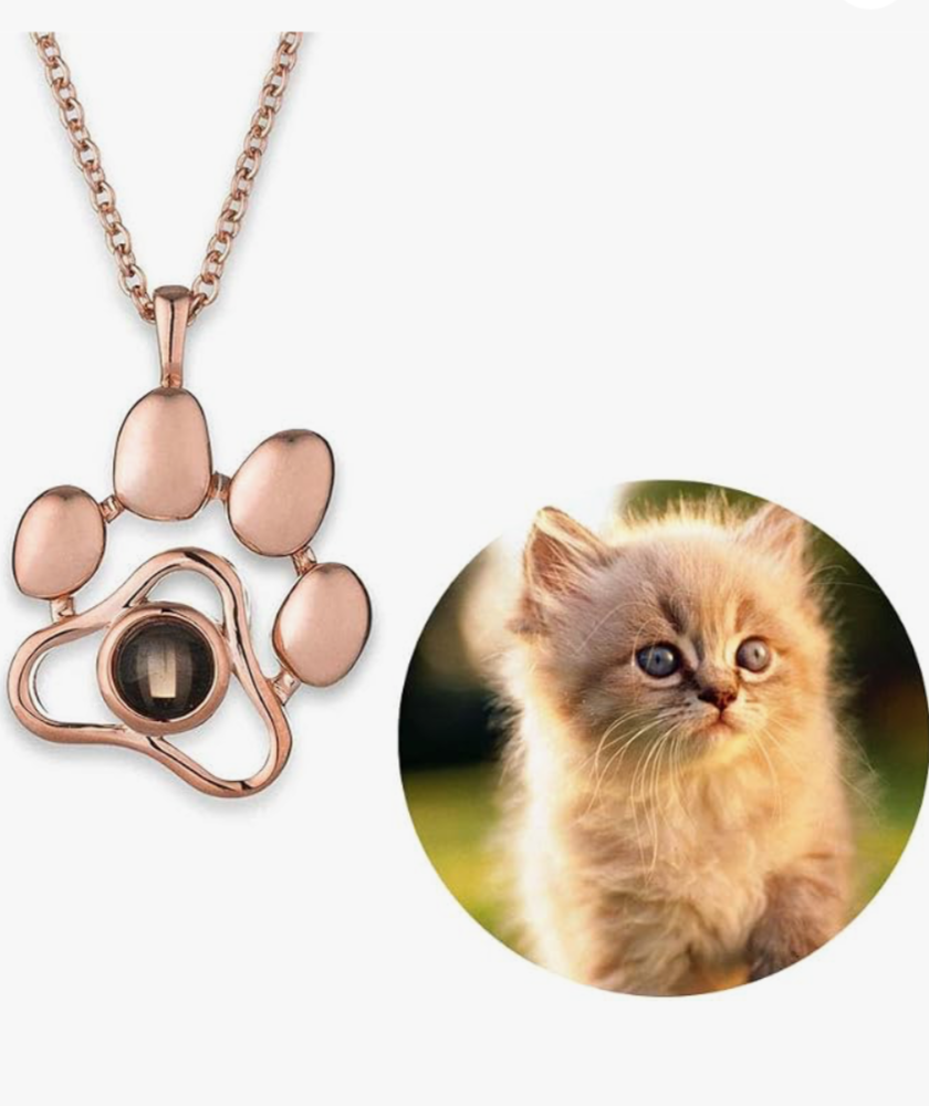Collar Personalizado con Foto de Mascota