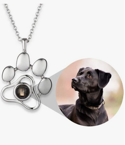 Collar Personalizado con Foto de Mascota
